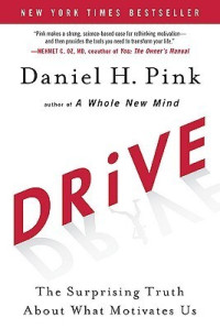 Drive : The Surprising Truth About What Motivates Us