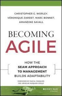 Becoming Agile : How The Seam Approach to Management Builds Adaptability